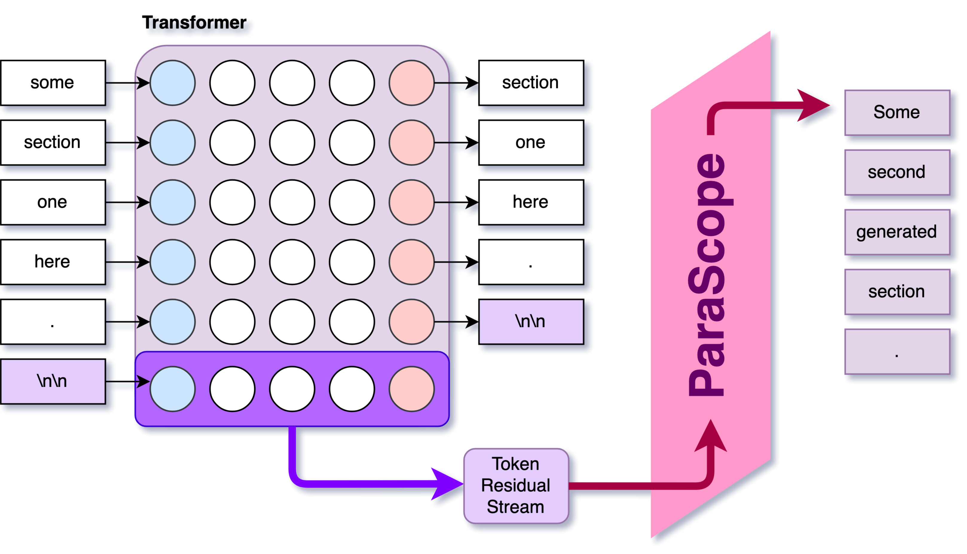 ParaScopes schematic: the residual stream at the newline token is read by the ParaScope decoder, which emits the next section's text.